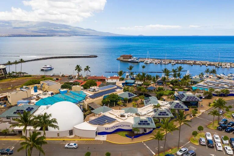 Humpbacks of Hawaiʻi & Sphere - Maui Ocean Center